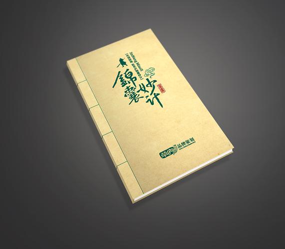香港资本驱动下的品牌跃迁 草庐策划从“视界动力”到行业标杆的进化之路