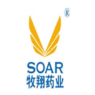 基于营销策划的一站式品牌服务商,一直服务于国际,国内的众多知名企业